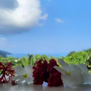 3* Pensjonat Cella
